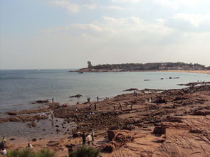 出海作文開(kāi)頭