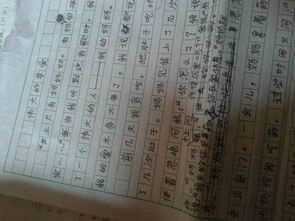 寫偉大母親的作文開頭