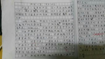 有關(guān)愛作文開頭與結(jié)尾