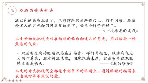 用比喻開頭的中考作文