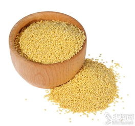 小米的營養(yǎng)價(jià)值及功效(小米的功效與作用)