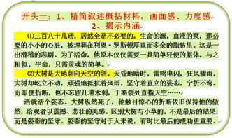 作文關(guān)于有趣的語文課作文開頭