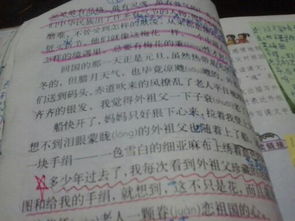 花的校園100字作文開頭結(jié)尾