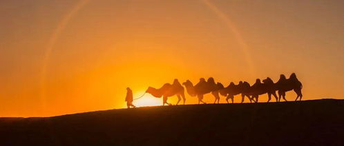 環(huán)境描寫的作文開頭老師