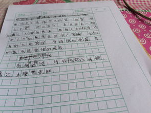 春天的美600作文開(kāi)頭