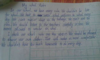 七級(jí)作文1000字優(yōu)秀開頭