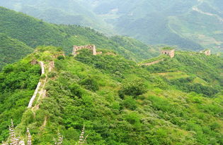 關(guān)(想過就業(yè)關(guān)，先過用“字”關(guān))