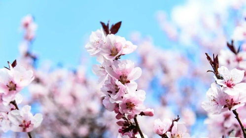 生活中的那一個(gè)瞬間作文開頭