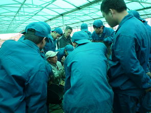 ?？齐姎夂笇?shí)習(xí)報(bào)告(?？茖?shí)習(xí)報(bào)告)