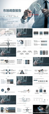 商場(chǎng)市調(diào)報(bào)告總結(jié)()