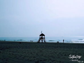 好的海邊開頭作文