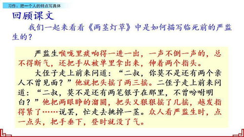 的人,作文,五級,開頭