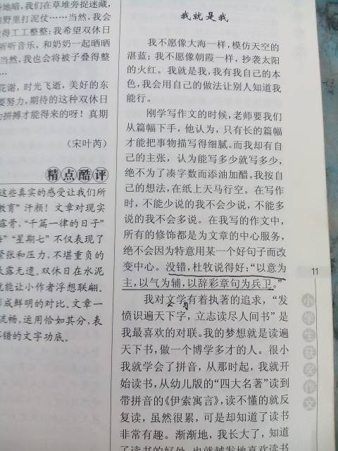 有趣的事情500作文開頭