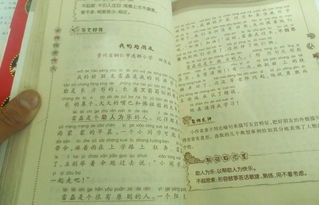 好的開頭作文100字左右
