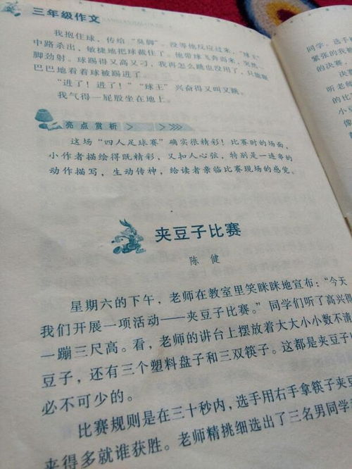 生活中有關愛的作文600字作文開頭