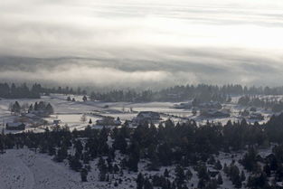 身邊的風(fēng)景寫景作文600字作文開頭