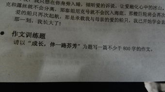 成長一路芬芳作文開頭