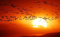 發(fā)現(xiàn)身邊最美的自己作文600字作文開(kāi)頭