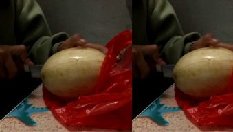 小吃貨作文開(kāi)頭好開(kāi)頭