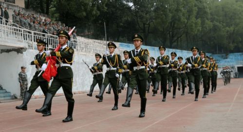 軍訓(xùn)匯報(bào)表演新聞稿(軍訓(xùn)匯報(bào)表演)