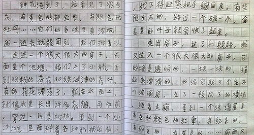 人心與眼睛作文開頭