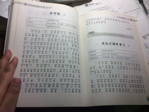 我的名字的秘密作文開頭