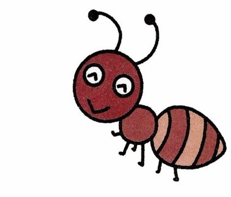 我是小螞蟻的作文(我是小螞蟻的作文)