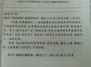 論親情的偉大議論文800字作文開頭
