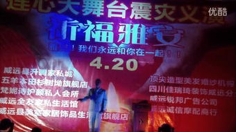 賑災(zāi)義演作文()