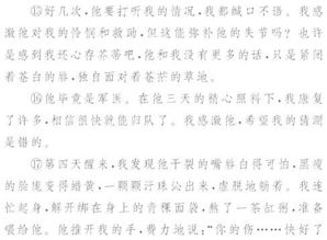 含詩(shī)句的開頭結(jié)尾的作文