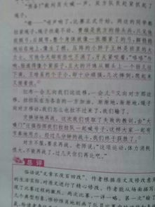 拔河,英文,作文,開(kāi)頭