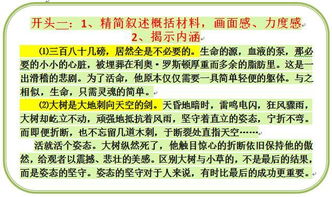 教資作文開頭怎么寫