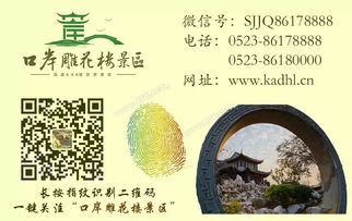 快樂成長放飛夢想作文的開頭