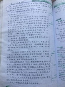 六上語文第三單元作文開頭結(jié)尾怎么寫