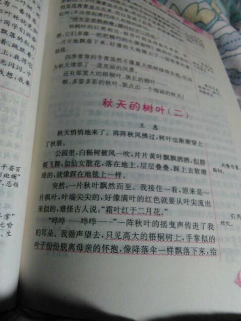 寫人的作文五級同學(xué)的作文開頭