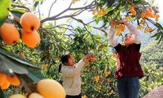 關(guān)于愛家鄉(xiāng)600字作文開頭