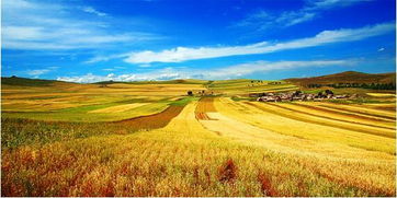 冬去秋來開頭的作文