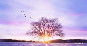 淚水作文開頭唯美句子