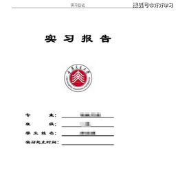 對大學(xué)生專業(yè)實(shí)習(xí)的觀察3000字報告(對大學(xué)生專業(yè)實(shí)習(xí)的觀察)