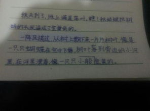 寫落葉作文的開頭