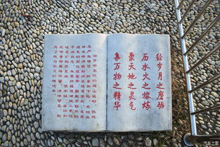 身邊的風(fēng)景也動人記敘文600字作文開頭