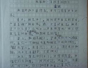 以景物描寫(xiě)為主的作文開(kāi)頭