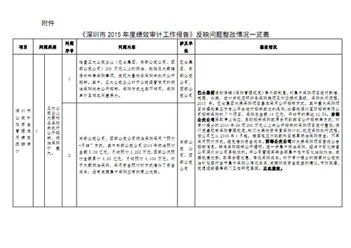 反映問題整改報告(黨建問題整改報告)