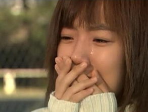 表示哭的句子作文開頭