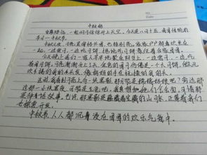 父母不在的中秋節(jié)作文開(kāi)頭