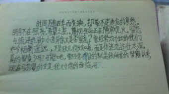 行走在美好中作文開頭結(jié)尾,行走在美好中作文開頭,行走在雨中作文開頭