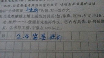 生活因困難而精彩作文400字(生活因友情而精彩)