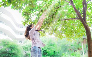 我們的學(xué)校寫景600字作文開頭