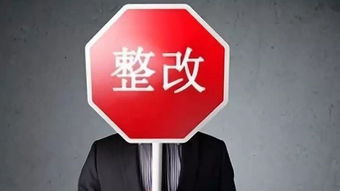 水泥企業(yè)自查報告(水泥企業(yè)節(jié)能自查報告)