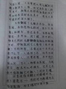 生活來(lái)自愛(ài)心作文1000字作文開(kāi)頭